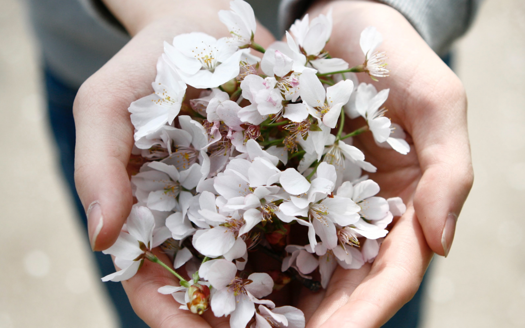 A Mindful Attitude: being present with curiosity and acceptance